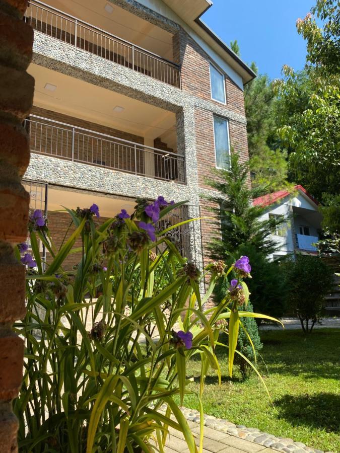 Guest House Shekvetili Zewnętrze zdjęcie
